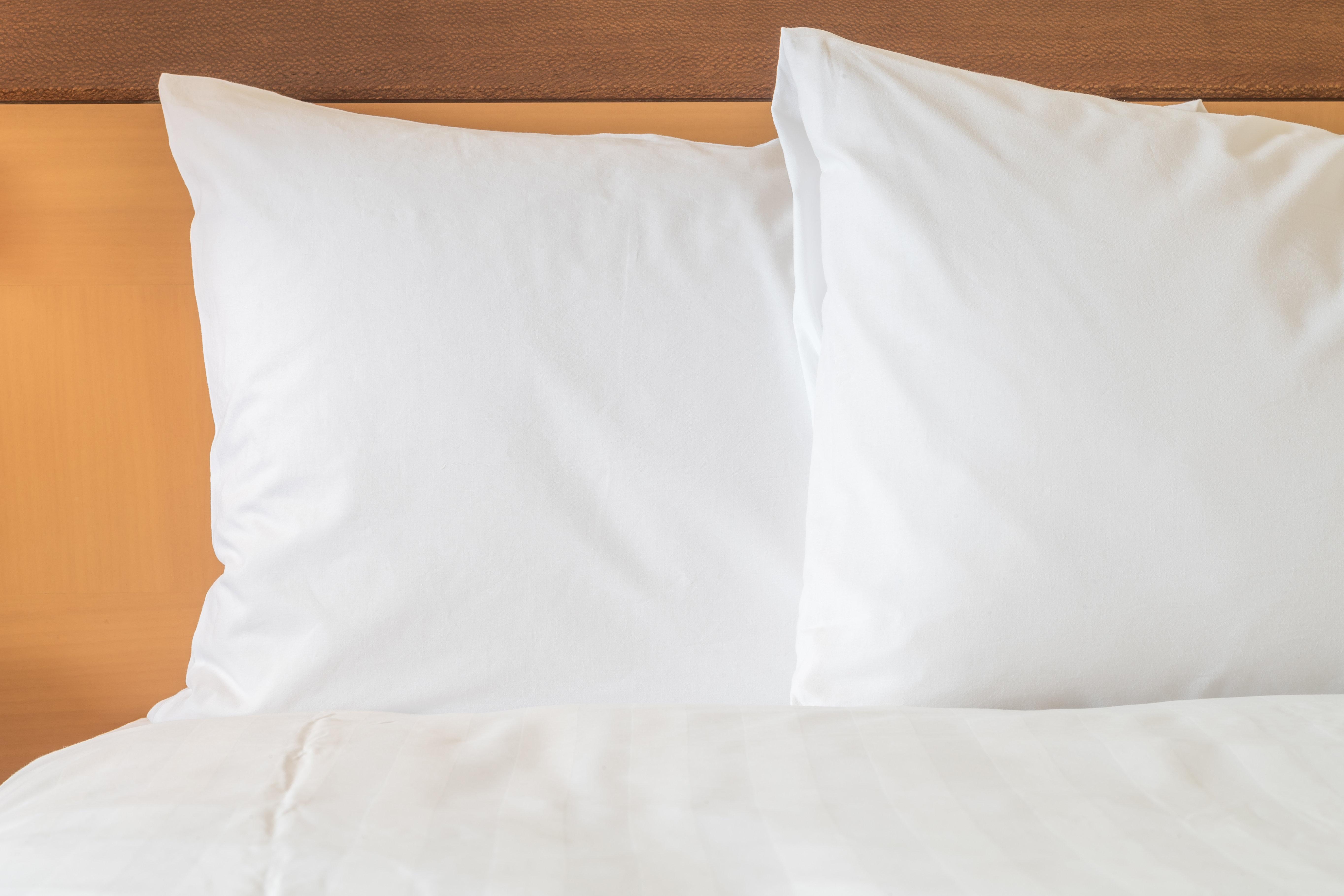 Hotel Holiday Express Airport By Ihg Nashville